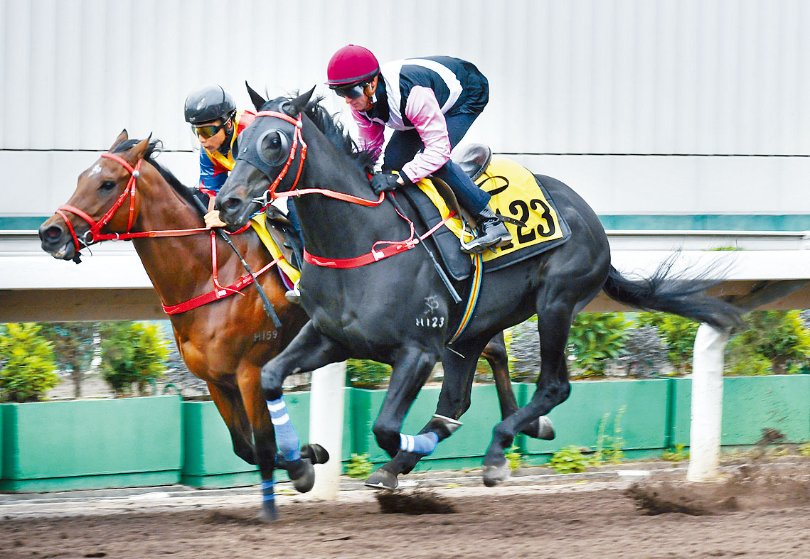 R4：婦女銀袋日，巴度「特別美麗」！