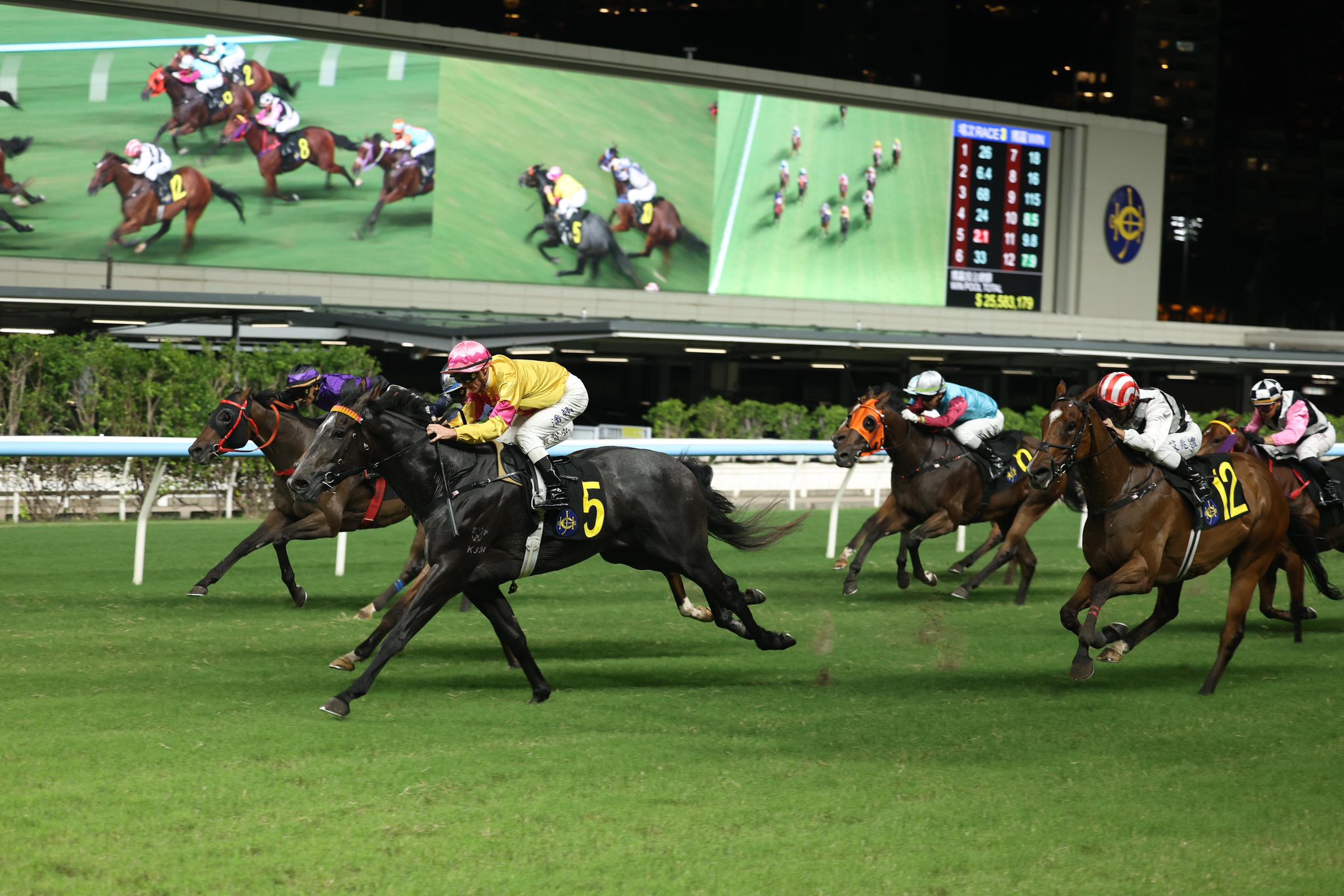 R6：短途1200，潘頓有「橋」！