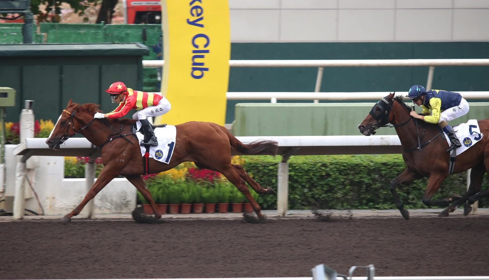 R9:希威森「新意」搏打疊! R9:希威森「新意」搏打疊!